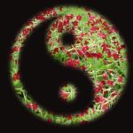 équilibre yin yang